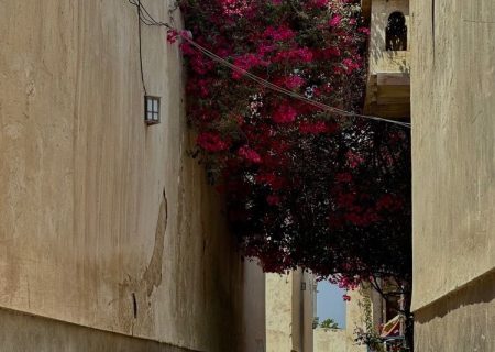 کوچه پس کوچه های زیبای  بندر تاریخی کنگ