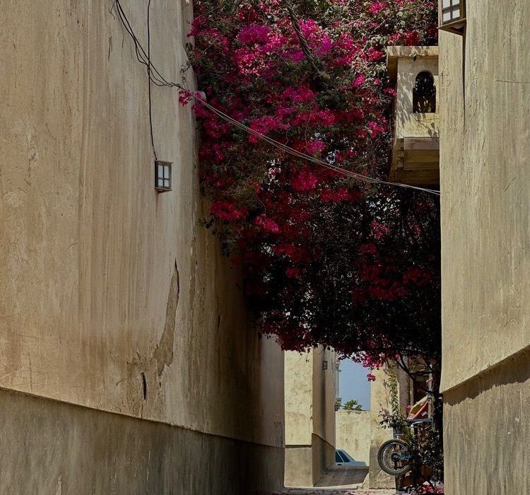کوچه پس کوچه های زیبای  بندر تاریخی کنگ